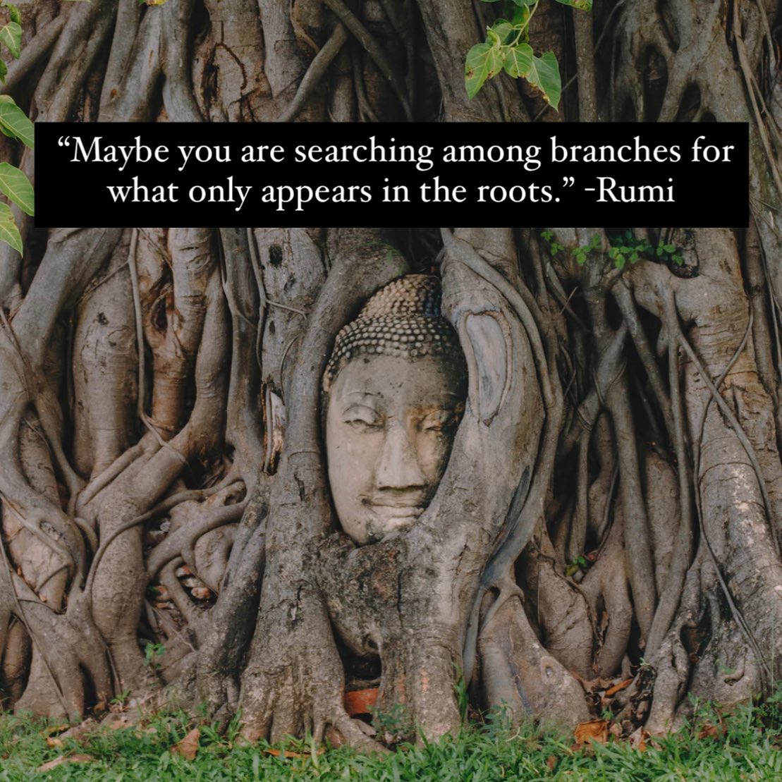 Difference Between Reality And Imagination