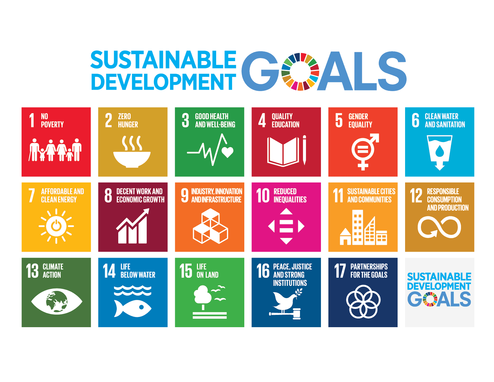 Understanding the 17 Sustainable Development Goals: A Roadmap to a Sustainable Future