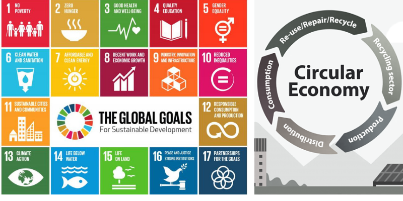 “Shaping a Sustainable Future: The Synergy Between Circular Economy and SDGs”